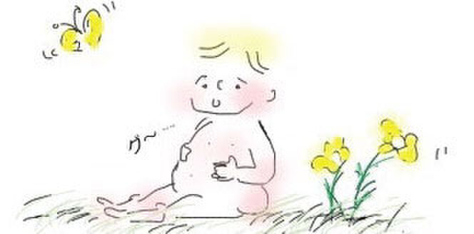 ゆめむすび